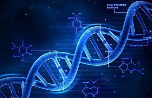 克隆技術(shù) 從喧囂到沉寂，科學(xué)家的解答揭示深層原因